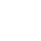 Experienced Professional Team